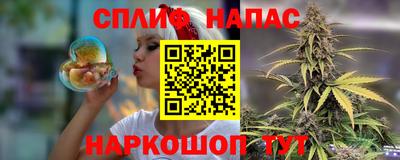 гашик Тверь