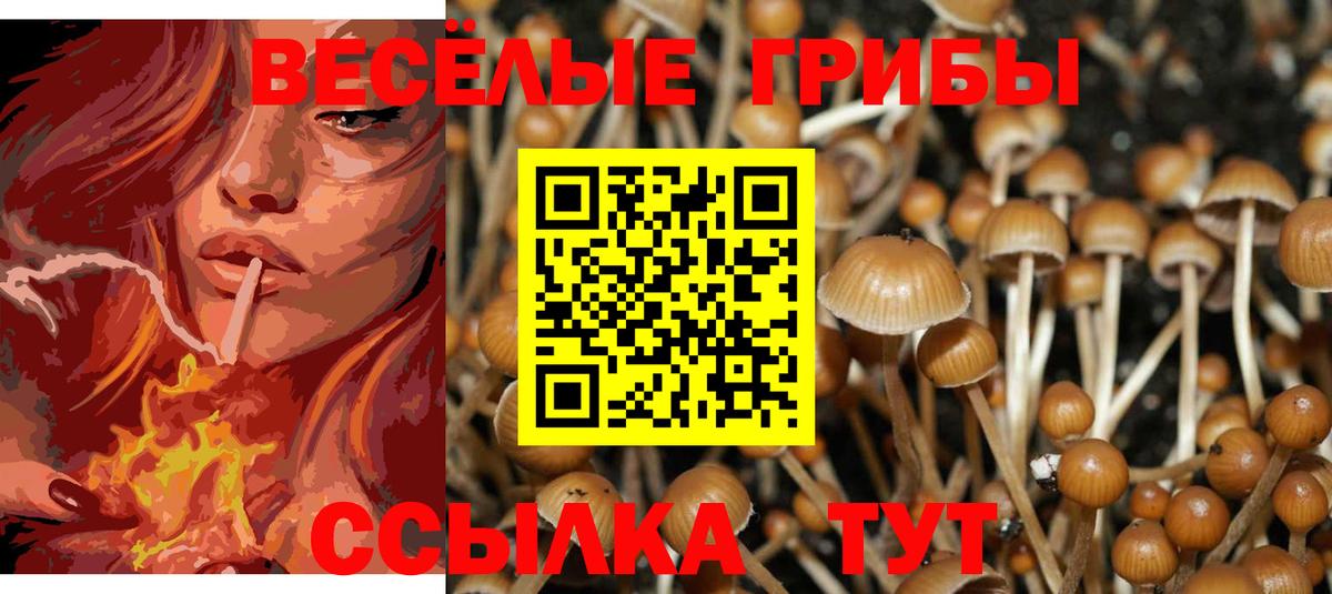 Галлюциногенные грибы GOLDEN TEACHER Норильск