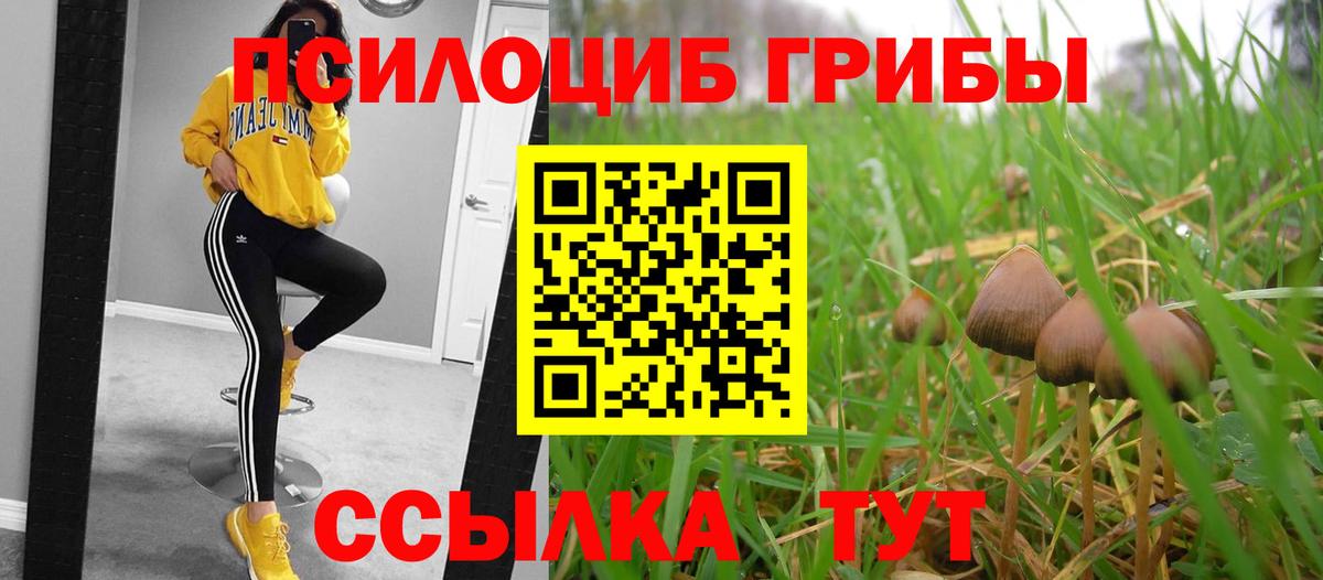 Псилоцибиновые грибы Magic Shrooms  Вход с VPN  наркошоп  Норильск 